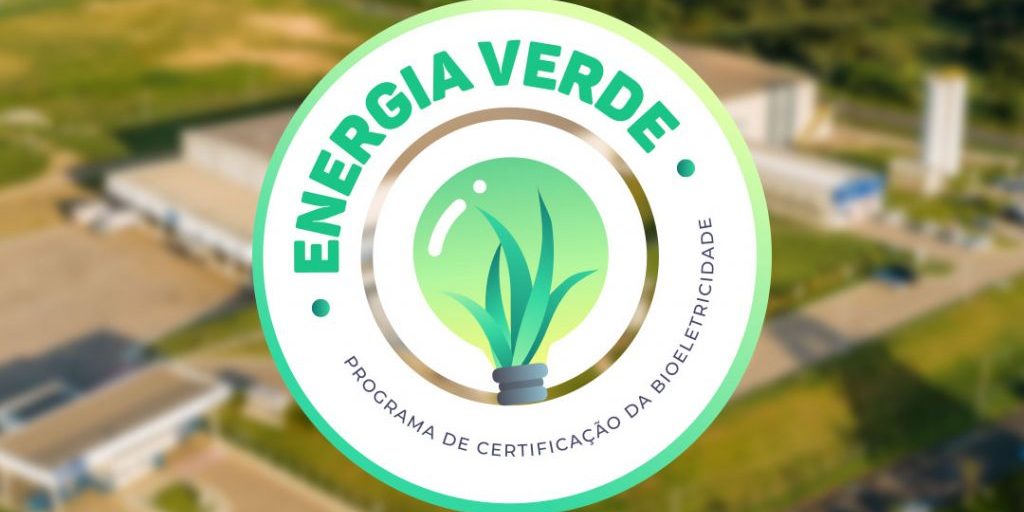 lollybrasil_blog_lolly-selo-1024×683