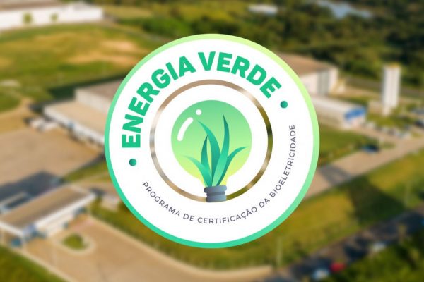 lollybrasil_blog_lolly-selo-1024×683