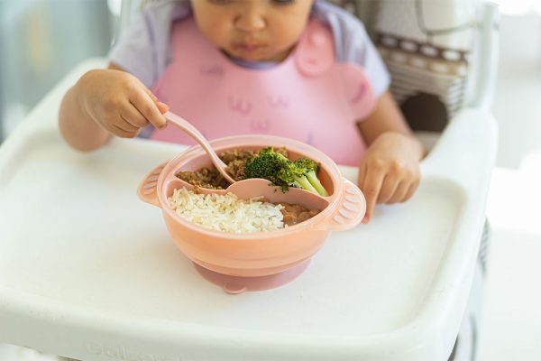 lolly)introducao-alimentar